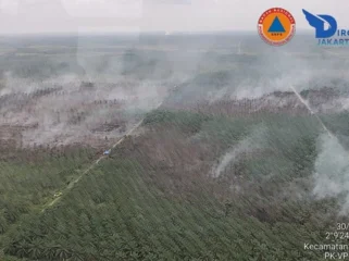 Pantauan dari udara70 hektare lahan gambut yang masih terbakar di kawasan Desa Mangsang, Kecamatan Bayung Lencir, Muba. Foto : Dok Muba