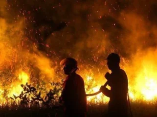 Potret perjuangan memadamkan karhutla di Sumsel Foto: abp/Urban Id