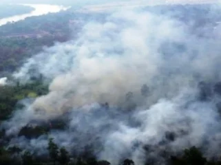 Ilustrasi kebakaran lahan. Foto : Istimewa
