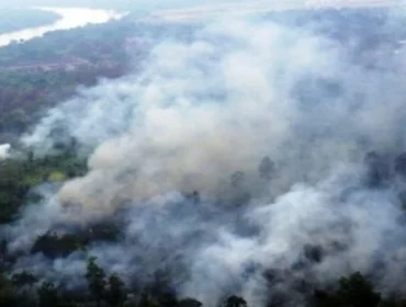 Ilustrasi kebakaran lahan. Foto : Istimewa
