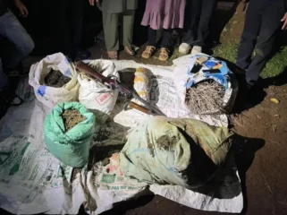 Polisi grebek ladang ganja seluas 20 hektar di Empat Lawang. (Dok. Polda Sumsel)