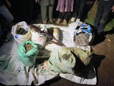 Polisi grebek ladang ganja seluas 20 hektar di Empat Lawang. (Dok. Polda Sumsel)