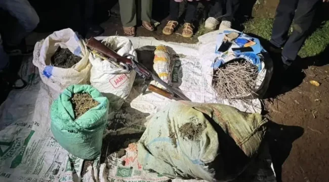 Polisi grebek ladang ganja seluas 20 hektar di Empat Lawang. (Dok. Polda Sumsel)