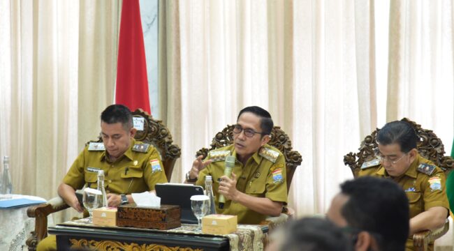 Wali Kota Palembang, Ratu Dewa/ist.