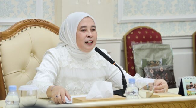 Ketua Tim Penggerak (TP) PKK Kota Palembang, Dewi Sastrani/ist. 