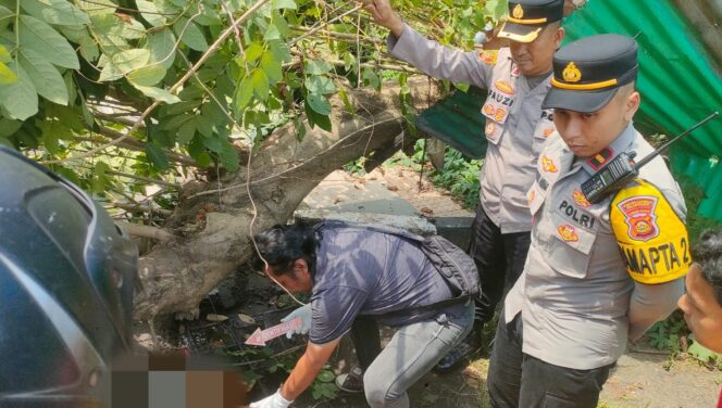 
Polisi saat olah TKP. Foto : Istimewa