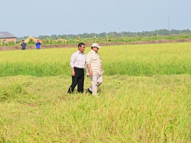
Indonesia Siap Hadapi El Nino, Mentan: Stok Beras Tertinggi Sepanjang Sejarah
