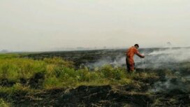 Satgas karhutla saat memadamkan api yang membakar lahan gambut di Sumsel (Foto: BPBD Sumsel)
