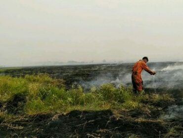 Satgas karhutla saat memadamkan api yang membakar lahan gambut di Sumsel (Foto: BPBD Sumsel)
