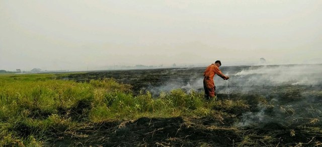 Satgas karhutla saat memadamkan api yang membakar lahan gambut di Sumsel (Foto: BPBD Sumsel)
