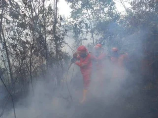 Tim Manggala Agni saat melakukan pemadaman di Ogan Komering Ilir (OKI), Foto : Manggala Agni
