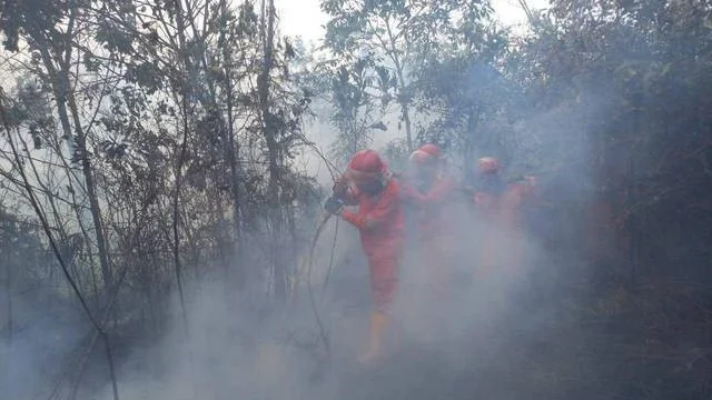 Tim Manggala Agni saat melakukan pemadaman di Ogan Komering Ilir (OKI), Foto : Manggala Agni