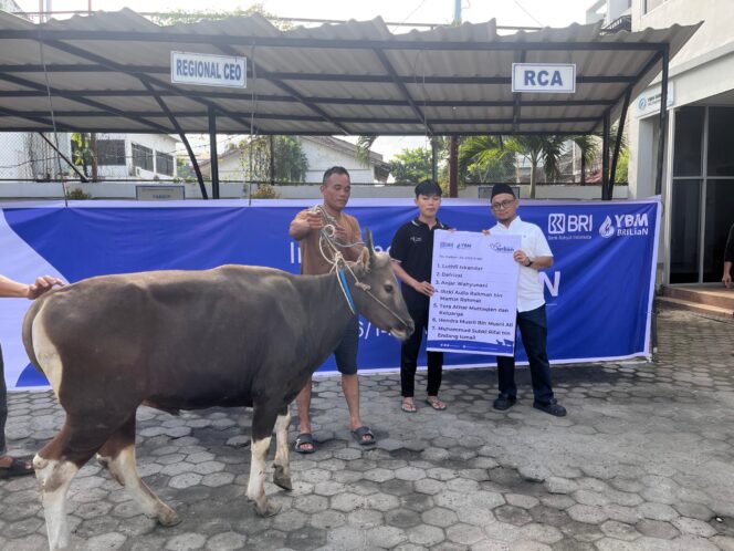 
BRI Region 4 Palembang Salurkan 45 Hewan Kurban untuk Masyarakat Sumsel, Jambi dan Babel