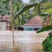 Kondisi rumah warga terendam banjir di Muratara. Foto : Istimewa