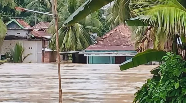 Kondisi rumah warga terendam banjir di Muratara. Foto : Istimewa