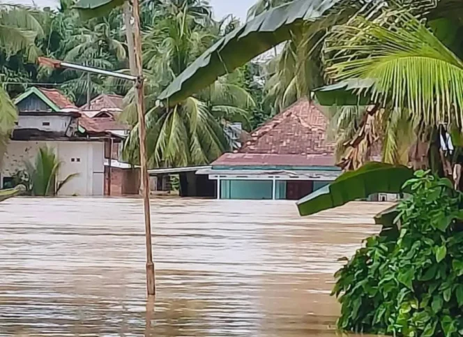
Kondisi rumah warga terendam banjir di Muratara. Foto : Istimewa