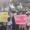 Ratusan massa mendatangi DPRD Sumsel untuk mendukung MBG. Foto : Istimewa