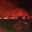 Manggala Agni saat memadamkan api di Lahan samping Tol Palindra. Foto : Manggala Agni
