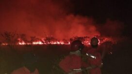 Manggala Agni saat memadamkan api di Lahan samping Tol Palindra. Foto : Manggala Agni