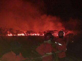 Manggala Agni saat memadamkan api di  Lahan samping Tol Palindra. Foto : Manggala Agni
