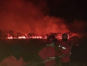 Manggala Agni saat memadamkan api di Lahan samping Tol Palindra. Foto : Manggala Agni
