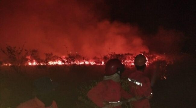 Manggala Agni saat memadamkan api di  Lahan samping Tol Palindra. Foto : Manggala Agni