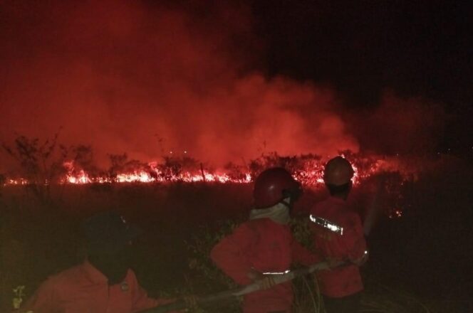 
Manggala Agni saat memadamkan api di  Lahan samping Tol Palindra. Foto : Manggala Agni