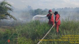Manggala Agni saat memadamkan kebakaran lahan di OKI. Foto : Manggala Agni