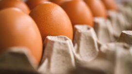 Ilustrasi telur. Foto : Pixabay