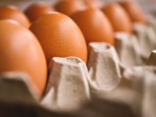 Ilustrasi telur. Foto : Pixabay