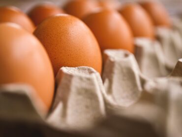 Ilustrasi telur. Foto : Pixabay