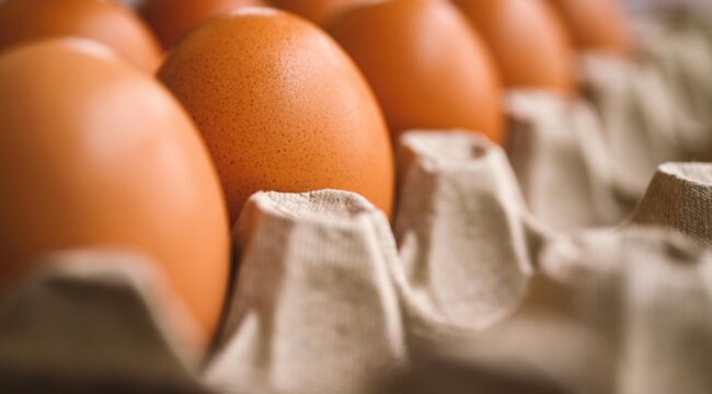 Ilustrasi telur. Foto : Pixabay