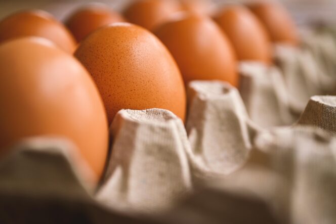 
Ilustrasi telur. Foto : Pixabay