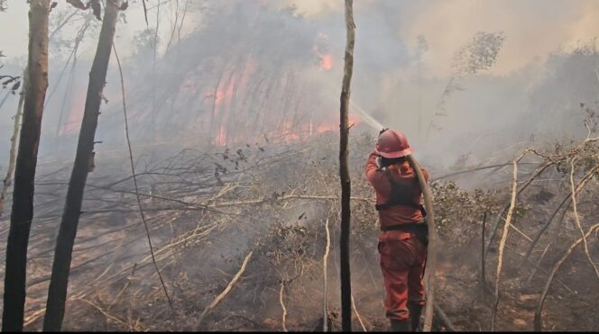 
Kabut Asap Ganggu Aktivitas Sekolah, Disdik Sumsel Izinkan Penyesuaian Jam Belajar