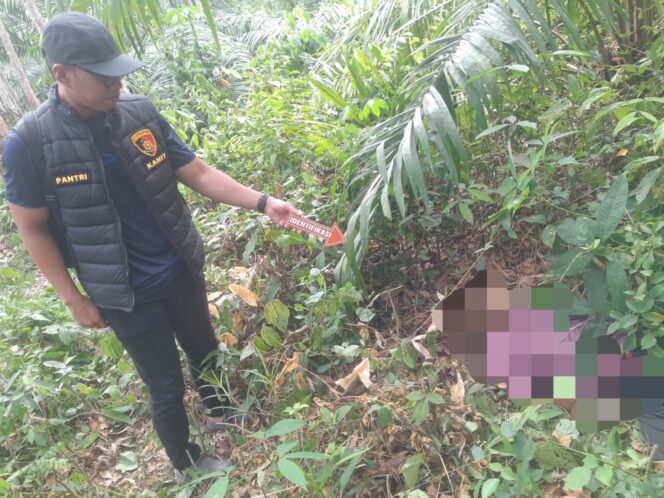 
Curi Sawit, Pemuda di Muba Ditemukan Tewas Usai Ditebas Pemilik Kebun