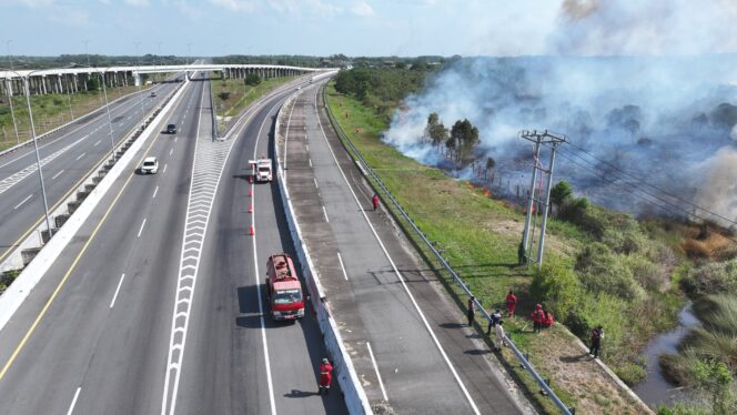 
Kondisi Karhutla di Desa Palem Raya, asap nyaris masuk ke area Tol Palindra. (Dok. Manggala Agni)