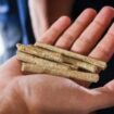 Pelet Sekam Padi sebagai bahan baku PLTBm PT Buyung Poetra Energi. Foto : PT BPE
