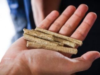 Pelet Sekam Padi sebagai bahan baku PLTBm PT Buyung Poetra Energi. Foto : PT BPE