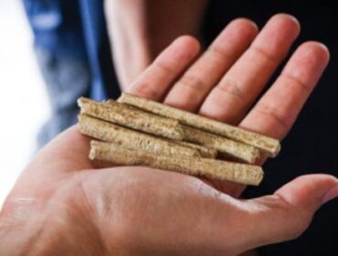 Pelet Sekam Padi sebagai bahan baku PLTBm PT Buyung Poetra Energi. Foto : PT BPE