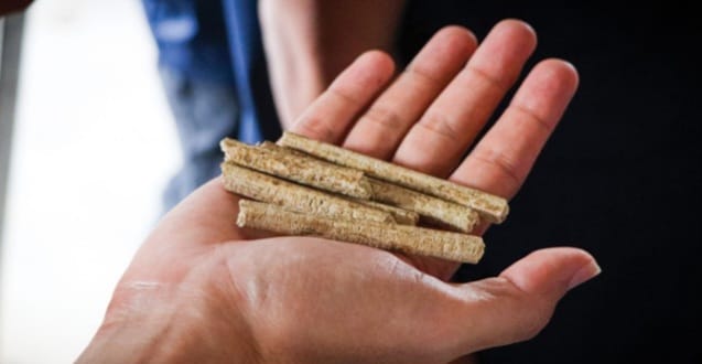 Pelet Sekam Padi sebagai bahan baku PLTBm PT Buyung Poetra Energi. Foto : PT BPE
