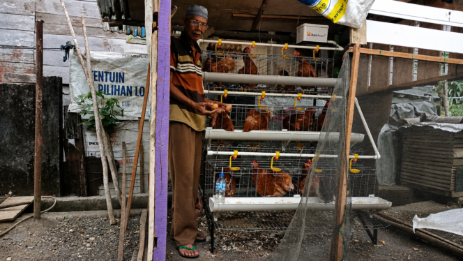 
Dari Kandang Samping Rumah, Amat Menjemput Harapan di Usia 72 Tahun
