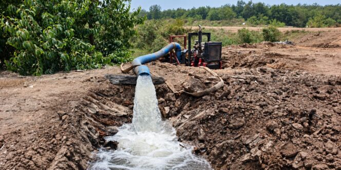 
Cegah Karhutla di Musim Kering, PT RHM Perkuat Pembasahan Lahan Gambut