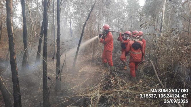 
Kanal Mengering, Water Bombing Tak Maksimal: Pemadaman Karhutla Sumsel Makin Berat