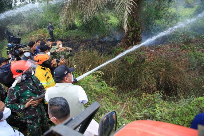 
Cairan dari Brasil Diuji untuk Karhutla Sumsel, Lahan Diklaim Lembap hingga 3 Hari