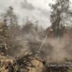 Suasana pemadaman yang dilakukan Manggala Agni di Tulung Selapan, OKI Foto : Manggala Agni