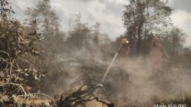 Suasana pemadaman yang dilakukan Manggala Agni di Tulung Selapan, OKI Foto : Manggala Agni