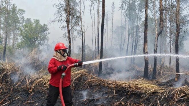 
Dari Merawat Pasien hingga Melawan Kebakaran Hutan 