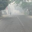 Kabut Asap yang menyelimuti Palembang, Kamis (22/10/2026). Foto : Urban Id